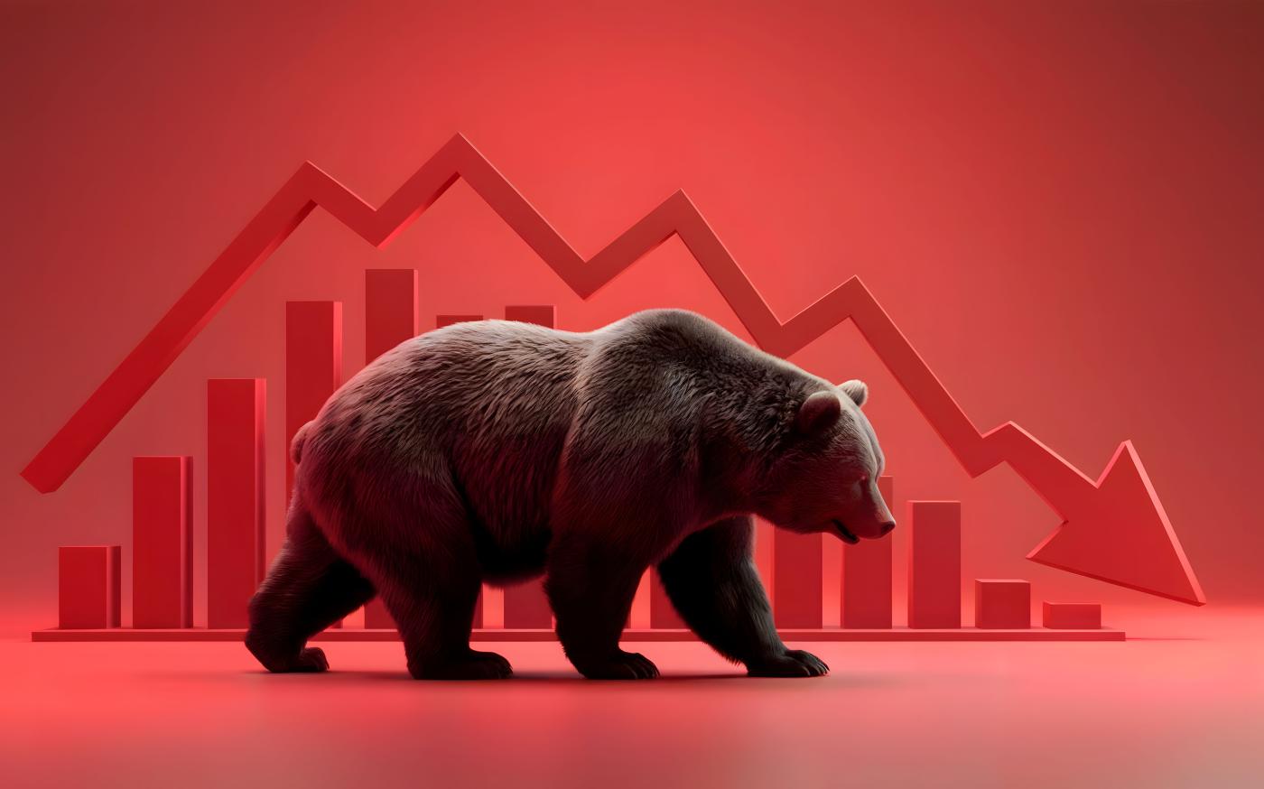 Bear Market Image