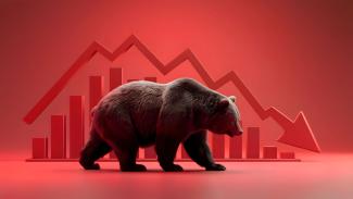 Bear Market Image