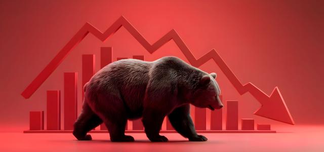 Bear Market Image